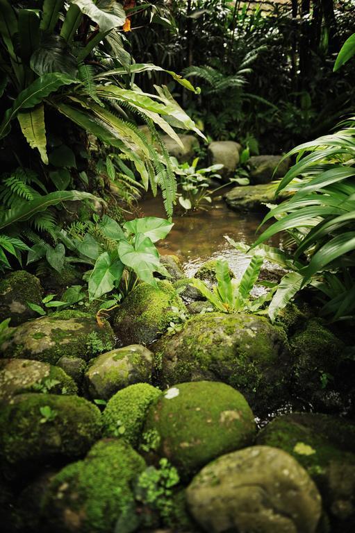 Heaven in Bali Apartment Penginyahan Bagian luar foto